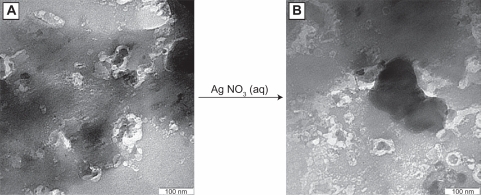 Figure 5 Transmission electron microscopy images of A) zeolite and B) zeolite after impregnation with aqueous AgNO3 (AgNO3/zeolite [A0]).