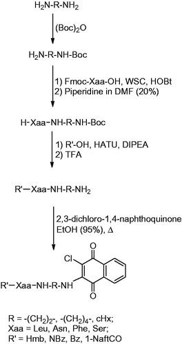 Scheme 1. Synthesis of naphthoquinone amino acid derivatives.