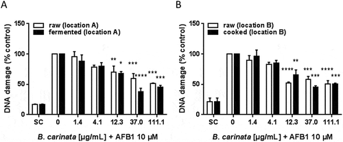 Figure 2. Anti-genotoxic potential of ethanolic extracts of raw and processed B. carinata. DNA damage in AFB1-treated cells is shown as percent of control. Data are means ± SEM of three independent experiments. Asterisks indicate statistically significant differences between the respective treatment and the positive control (= without B. carinata extract). SC = solvent control (0.1% DMSO).