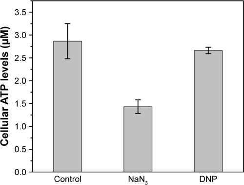 Figure S5 Intracellular ATP concentrations of WT samples and WT cells under the influences of 150 mM NaN3 or 2 mM DNP.Abbreviations: DNP, 2,4-dinitrophenol; WT, wild-type.