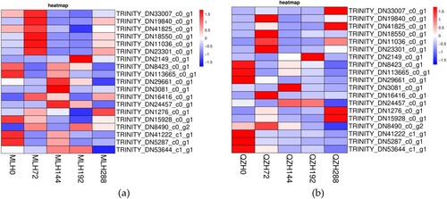 Figure 7. Heatmap of key candidate genes. (a) Heatmap of key candidate genes before and after rust infection in MLH. (b) Heatmap of key candidate genes before and after rust infection in QZH.