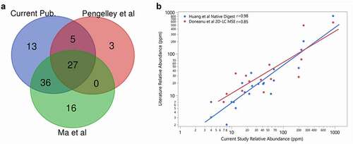 Figure 1. (a) Comparison of the host cell proteins identified in NISTmAb in this study (blue) to Ma et al. (green) and Pengelley et al. (red). In this study, HCP identity was attained leveraging native digestion LC-MS/MS vs. Ma et al., 2020 nanoLC-MS/MS.Citation26 and Pengelley et al., 2018 nano-LC-MS/MS with trapped ion mobility and PASEF (parallel accumulation and serial fragmentation) MS method.Citation27 (b) Correlation between the relative abundances of HCP measured in NISTmAb from the current publication to previously reported relative abundances using the native digest method reported by Huang et al.Citation22 and a complete tryptic digest followed by 2D-LC MS reported by Doneanu et al.Citation28