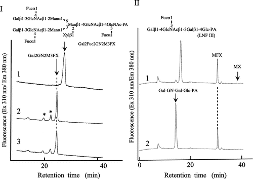 Fig. 1. Substrate specificity of rice α-fucosidase (α-fucosidase Os).