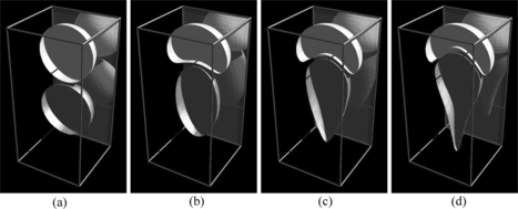 Figure 5 Shape evolution of two buoyant drops for B = 5. Both initially spherical drops are of unit radius, and the radius of cohesion is ϵ = 0.63. (a) t = 0, (b) t = 10, (c) t = 20, (d) t = 30.