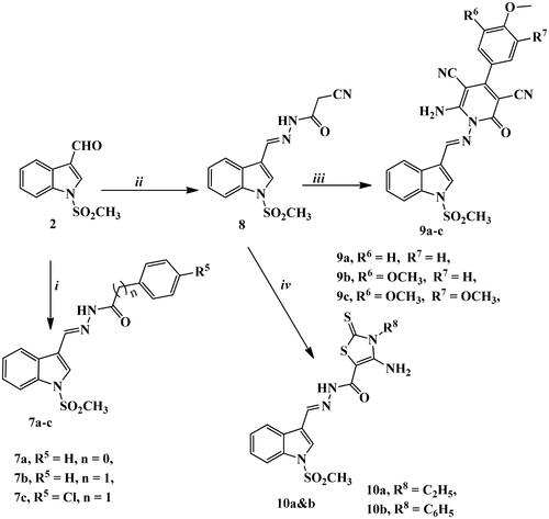 Scheme 3. Synthetic routes for preparation of imine derivatives 7a–c, 8, 9a–c, and 10a,b. Reagents and conditions: (i) benzohydrazide, phenylacetic acid hydrazide, or p-chlorophenyl acetic acid hydrazide, gl. acetic acid, reflux 3–5 h; (ii) cyanoacetic acid hydrazide, abs. ethanol, reflux 3 h; (iii) the appropriate arylidine derivative, abs. EtOH, reflux 4–6 h; (iv) ethyl/or phenyl isothiocyanate, S, abs. EtOH, TEA, reflux 10–12 h.