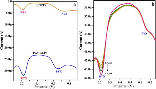 Figure 12. DPV depicting (a) simultaneous detection of PYX and RTN at the UGCPS and PGMGCPS surface in 0.2 PBS and (b) concentration variation of RTN with constant PYX.