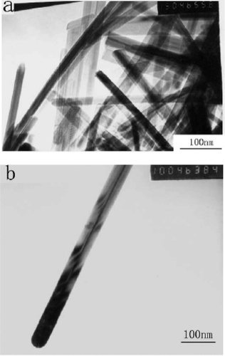 Figure 22. TEM images of the as-prepared CuO nanorods. (a) Morphologies of the as prepared CuO nanorods. (b) Morphologies of the as prepared single CuO nanorod Citation44.
