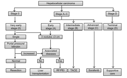Figure 1 Barcelona Clinic Liver Cancer staging system and treatment strategy.