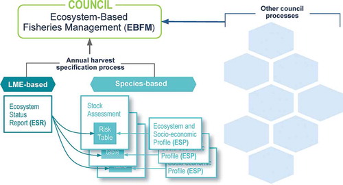 Figure 2. Flow of ecosystem information in NPFMC annual harvest specification process. Risk tables are produced for each stock assessment using information from both the ecosystem-level ecosystem status report (ESR) and from the stock-specific ecosystem and socio-economic profiles (ESP).