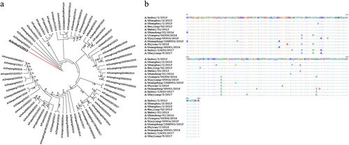 Fig. 1 Evolution of H7 HAs.a Phylogenetic analysis of the HA genes of representative H7N9 viruses collected since 2013, with an emphasis on the 2013–2017 period. HA sequences were collected from GISAID, the Global Initiative on Sharing All Influenza Data (http://platform.gisaid.org/epi3). The evolutionary tree was inferred using the neighbor-joining method and was generated in MEGA7. The candidate vaccine strain (A/Anhui/1/2013) is shown in the red line, and the viruses used in this study are shown in the blue lines. b Sequence alignment of the HA1 domain for the 12 selected H7 HAs. The “.” symbol indicates sequence identity with the H7N9 of A/Anhui/1/2013 strain