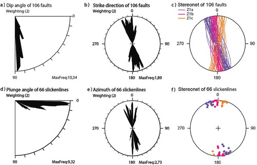 Figure 3. Rose diagrams and stereograms of sinistral strike-slip faults. Three classes of orientations Z1a, Z1b, and Z1c were distinguished.