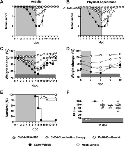 Figure 6. Evaluation of the efficacy of UAWJ280 alone or in combination with oseltamivir in the mice model. Mice were inoculated with 5xMLD50 of Ca/04 (H1N1) and treated with drug vehicle, UAWJ280 (200 mg/kg/day), oseltamivir (10 mg/kg) and combination therapy (ratio 1:1 UAWJ280:oseltamivir) through intraperitoneal injection 4 h post-challenge and continue for 7 days, twice a day (cyan shedding). Clinical signs related to (A) activity, (B) physical appearance, (C-D) weight change and (E) survival were evaluated among the different groups. (F) Sera were recovered at 21 dpc and the levels of neutralizing antibodies in each group were assessed using HI assay.