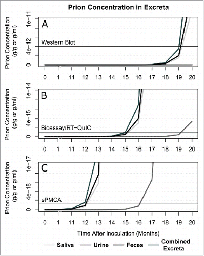 FIGURE 2. Predicted detection of prions in excreta (urine, saliva, feces, and a combined pool of all 3). The three panels show detection thresholds of (A) western blot (4 ng/g), (B) bioassay and RT-QuIC (1 fg/g), and (C) sPMCA (1.3 ag/g) against the predicted prion concentrations in excreta.
