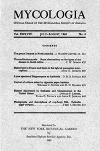 Cover image for Mycologia, Volume 38, Issue 4, 1946