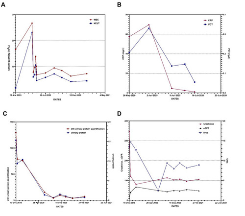 Figure 1 Dynamic changes of laboratory examination. (A) WBC, NE underwent significant reduction after taking meropenem and TMP-SMX. (B) CRP, PCT underwent significant reduction after taking meropenem and TMP-SMX. (C) Renal glomerular function improved with lower urinary protein/24h urinary protein quantification. (D) Renal function retaining almost steady on the creatinine, eGFR, urea.