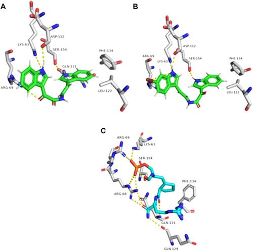 Figure 9 Binding modes of metabolites 3 and 9 together with the co-crystallized inhibitor (A–C, respectively) inside the binding site of Pin-1.