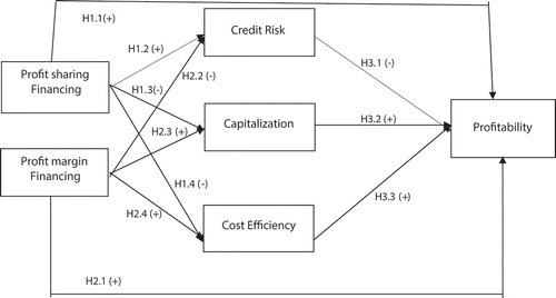 Figure 1. Conceptual model: Causal relationships between Financing Strategies, Risk, Efficiency and Bank Profitability.