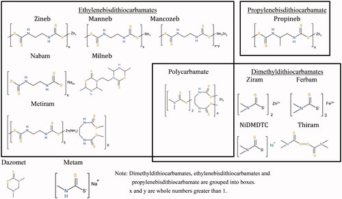 Figure 1. Structures of common DTCs.