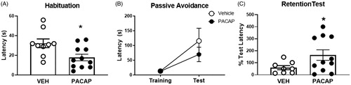 Figure 4. Passive avoidance behavior tested 5 days after FST exposure in PACAP and vehicle pretreated animals. (A) PACAP-treated rats were quicker to cross over to the dark chamber of the apparatus on the habituation trial. (B) Prior PACAP exposure did not affect cross-over latency on the training trial, nor during testing phase, but significantly enhanced retention of avoidance behavior when tested 2 weeks later (C), suggestive of enhanced memory of the aversive experience. Note that mechanical issues with the apparatus resulted in exclusion of data from three animals (2 vehicle, 1 PACAP). Data as Mean ± SEM. *p < 0.05.
