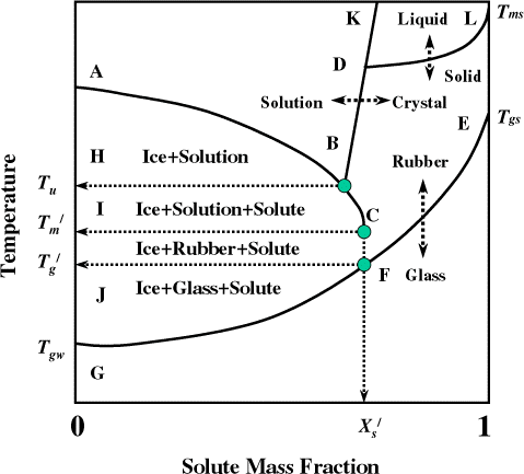 Figure 1. State diagram for solution. AB: freezing curve, BDL: solubility curve, B: eutectic point, EFG: glass transition line, JF: glass transition by slow or equilibrium cooling, T gs : glass transition temperature of solids, T gw : glass transition of water, : end point of freezing for maximal-freeze-concentration condition, : glass transition for maximal-freeze-concentration condition, : solids mass fraction at maximal-freeze-concentration condition, T u : eutectic point (solutes crystallization), LD: or decomposition temperature line.