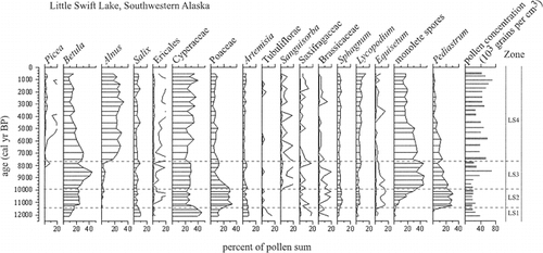 FIGURE 5. Percentages of pollen, spores, and aquatics from core LS-A. Unfilled curves (e.g., for Picea and Ericales) represent 10 × exaggeration