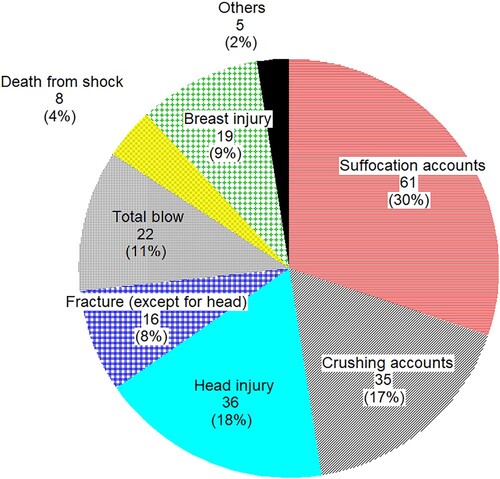 Figure 7. Classification of slope failure accident causes of death [Citation23].