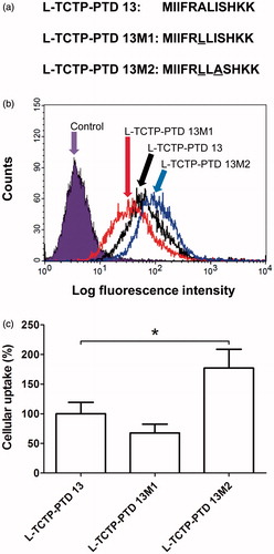 Figure 1. (a) Amino acid sequence of l-TCTP-PTD 13 and its analogs. Amino acid modifications in l-TCTP-PTD 13 are underlined. (b) Cellular uptake of FITC-labeled peptides in BEAS-2B cells analyzed by a flow cytometer. (c) Histograms of l-TCTP-PTD 13, l-TCTP-PTD 13M1, and l-TCTP-PTD 13M2. Each bar represents the standard deviation of three independent replicates. The mean fluorescence intensity of FITC-labeled l-TCTP-PTD 13 in BEAS-2B cells was set to 100%. *p < .05 versus FITC-labeled l-TCTP-PTD 13.