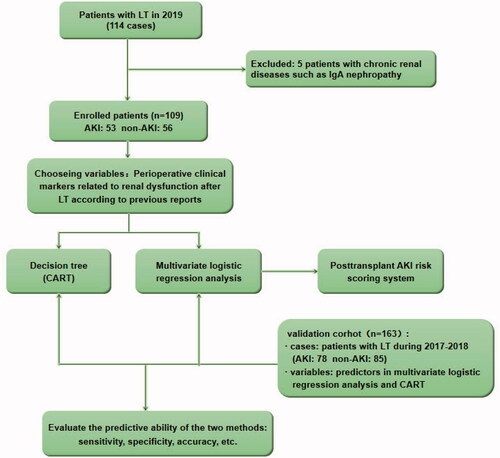 Figure 1. Flowchart of the inclusion and exclusion criteria of the study population. LT: liver transplant; AKI: acute kidney injury.