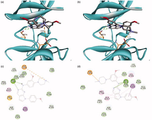 Figure 2. Predicted docking orientation of 16 and 25 with the Mer kinase domain (PDB ID: 3TCP). Docking mode of (a) 16 and (b) 25 with Mer. 2 D-interaction diagram of the binding model of (c) 16 and (d) 25. Estimated binding energies were −7.52 kcal/mol and −8.26 kcal/mol for 16 and 25, respectively. Hydrogen bonds and a salt bridge between the ligand and the backbone are shown in dashed lines. The docking study was performed by AutoDock Vina.