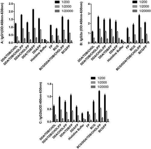 Figure 2. IgG1 (A), IgG2a (B), and IgG2b (C) titers in sera of immunized BALB/c mice. Mice were immunized subcutaneously three times at two-week intervals. Blood samples were collected from the mice three weeks after the last Injection. The IgG1, IgG2a, and IgG2b titers were determined by ELISAs. The assays were performed in triplicate at 200, 2000 and 20,000 -fold dilutions for each serum sample. DDA: Dimethyldioctadecylammonium; TDB: Trehalose-6,6'-dibehenate; CHOL: Cholesterol; FP: Fusion protein; BCG: Bacillus Calmette-Guerin.