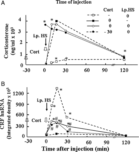 Figure 3 Effect of glucocorticoids on plasma corticosterone levels and CRF hnRNA responses to the painful stress of ip HS injection in intact rats. Time course of the changes in plasma corticosterone levels (A) or CRF hnRNA in the PVN (B), following administration of corticosterone (2.8 mg/100 g BW, ip) injected either at − 30 min or at 0 min before ip HS injection. Data points represent the mean and SE of values obtained in six rats per experimental group. *, p < 0.01 vs. ADX or sham basal (0 min). (B) Time course of the changes in CRF hnRNA after injection of corticosterone (2.8 mg/100 g BW, ip) or vehicle in 48-h adrenalectomized (ADX) or sham-operated rats. Data points are the mean and SE of the optical density values obtained from film autoradiograms in six rats per experimental group. *, p < 0.01 vs. sham or ADX basal (0 min).