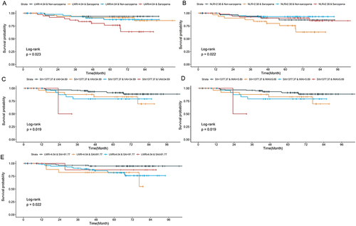 Figure 1 Kaplan-Meier plot of association between body composition combined with inflammation markers and OS. (A) LMR + Sarcopenia. (B) NLR + Sarcopenia. (C) SII + VAI. (D) SII + IMAI. (E) LMR + SAI.