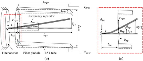 Figure 3. (a) Schematic diagram of the fiber deflection of the proposed fiber cantilever. (b) Free body diagram of the lever part.
