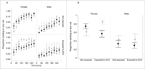 Figure 2. Single-sex groups of flies that had been previously exposed either to DCV or to a sterile Ringers solution were tested in a ‘no-risk’ environment (choice between 2 clean vials; light gray) or a ‘high-risk’ environment (choice between a clean vial and a DCV-contaminated vial; black). The motivation to seek out a food source, measured as the proportion of flies in the cage that landed on any of the provided food sources, increased over time (A). (B) shows the average motivation across the whole observation period for each combination of fly sex, prior DCV exposure and current exposure risk (‘no-risk’ environment (light gray) or a ‘high-risk’ environment (black). Data show means ± SEM.