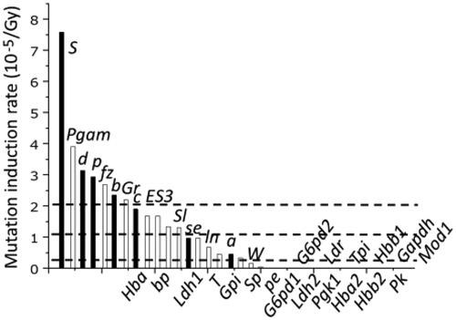 Figure 4. Different mutation induction rate in different genes (UNSCEAR Citation2001). The black bars indicate 7 genes used for the initial SLT studies and white bars represent genes examined in later studies. The three dotted lines indicate, starting from the top, the mean mutation induction rate for 7 genes, 34 genes, and 1,190 DNA fragments.