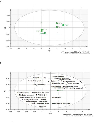 Figure 2. Score scatter PLS-DA and PLS weight plots (A and B) of fresh (FSF) and dried (DSF) sapodilla fruits. The PLS-weight plot reveals the inter-relatedness between the volatiles generated in dried and fresh sapodilla fruits.Figura 2. Diagramas de dispersión de puntuación PLS-DA y de peso-PLS (A y B) de chicozapotes frescos (FSF) y secos (DSF). El diagrama de peso-PLS da cuenta de la interrelación entre los volátiles generados en chicozapotes secos y frescos.