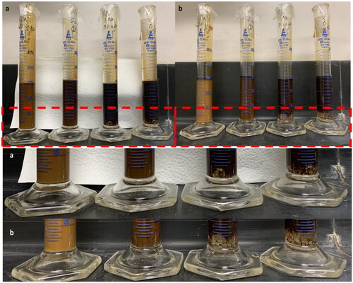 Figure 5. Bottle stability tests of saline (0.1 wt%) water-in crude oil (using Oil A) emulsions. Samples (L-R) Control, 0.5 v/v%, 1 v/v%, 2 v/v% NA. Images taken 24 hours (a) and 1 week (b) post emulsification. Samples doped with 1 and 2 v/v% NA have resulted in the separation of free water which is visible at the bottom of the measuring cylinders (highlighted by the red box). This area has also been enlarged for clarity.