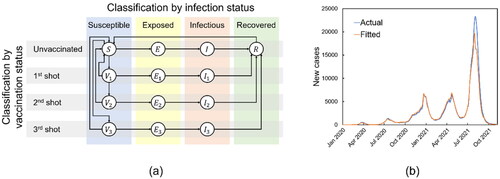Figure 1. Overview of the proposed mathematical model of infectious diseases. a. The compartments in the proposed model are classified by vaccination status in addition to infection status. b. Results of fitting the proposed model to the cases in Japan. The number of new COVID-19 cases in Japan was simulated from January 22, 2020 until 29 November, 2021.