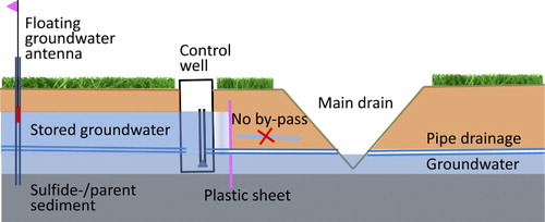 Figure 2. On the left: controlled pipe drainage used to store excess groundwater, a plastic sheet to prevent by-pass flow and a floating groundwater antenna for manual/visual groundwater monitoring. On the right: conventional pipe drainage (similar to Ref but without plastic sheet) causing a rapid groundwater drop (Reproduced from Österholm and Rosendahl Citation2012).