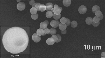 Figure 1 Scanning electron micrograph of sacrificial CaCO3 templates used for polypeptide capsule fabrication. Inset, enlarged view of a single particle. The sample was prepared by depositing a drop of aqueous particle suspension on a glass slide. Solvent was evaporated and particles were sputtered with a thin gold film. The Amray 1830 instrument (USA) was operated at an acceleration voltage of 20 keV.