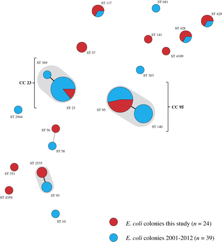 Figure 5. Minimum spanning tree of 63 E. coli colonies obtained from the bone marrow of hens with EPS analysed by MLST. Clustering of MLST profiles was done using a categorical coefficient. Sequence types are displayed as circles. The size of each circle is proportional to the number of E. coli colonies with a particular ST. Inside the circles the coloured area reflects the number of colonies from each collection. Short fat lines connect strains that are different in one single locus. The longer thin line connects double locus variants. Strains that were different in three or more loci are not connected. STs and CCs were assigned using the University of Warwick database. CCs are presented when strains are different in one locus. The shaded grey area around STs denotes types that belong to the same CC, and known CCs are also indicated with a CC and number.
