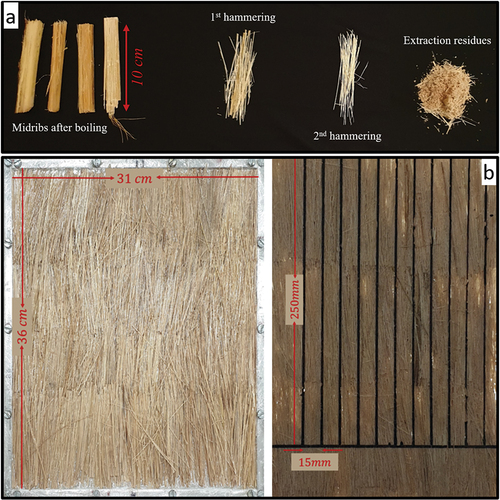 Figure 2. (A) extraction levels of the fibers and the extraction residues; (b) composite board in mold (left) and cut (right) with specimens’ dimensions (right).