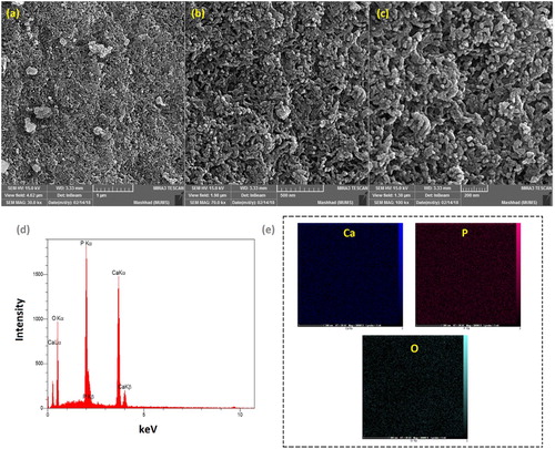 Figure 5. FESEM images of synthesized ACP-NPs at different magnifications; (a) 30, (b) 70, and (c) 100 kx, its EDX result (d), and elemental patterns (e).