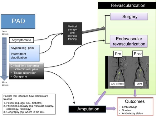 Figure 1 Conceptual framework of treatment of patients with peripheral artery disease (PAD).
