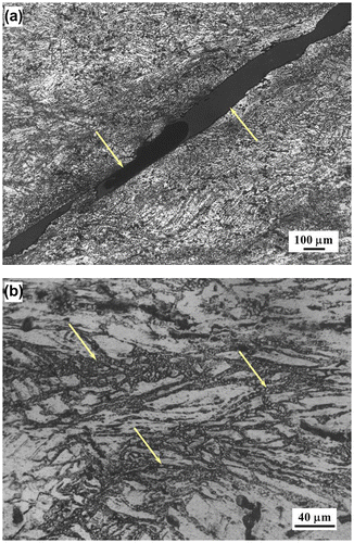 Figure 5. Microstructure of Mg–5Sn–2Ca specimen deformed in the flow instability regimes at (a) 300 °C/10 s−1 and (b) 300 °C/.1 s−1, exhibiting shear band and flow localization (shown by arrows).