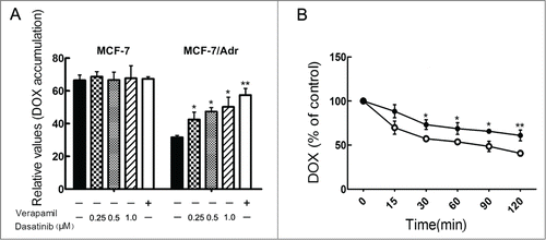 Figure 2. Effects of dasatinib on the accumulation and efflux of DOX. (A) Cells were pre-incubated with or without dasatinib or verapamil for 24 h at 37°C and then incubated with 20 μM DOX for another 1h at 37°C. The results are presented as fold change in fluorescence intensity relative to untreated control resistant cells. (B) After a preincubation of 20 μM DOX for 3 h, time course of DOX efflux was measured in MCF-7/Adr cells with the presence (•) or absence (○) of 1.0 μM dasatinib. The accumulation of DOX was measured by flow cytometric analysis. Data shown are means ± SD of triplicate determinations. *P < 0.05 and **P < 0.01 vs. the control group.