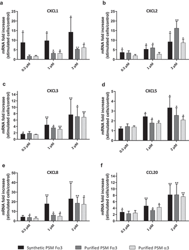 Figure 2. Synthetic and purified PSM α3 from S. aureus triggered pro-inflammatory chemokine expression in keratinocytes at 3 h post-stimulation. mRNA fold increase of CXCL1 (a), CXCL2 (b), CXCL3 (c), CXCL5 (d), CXCL8 (e) and CCL20 (f) was quantified in keratinocytes at 3 h post-stimulation with synthetic and purified PSM Fα3 or purified PSM α3 as compared to unstimulated keratinocytes. Data are represented as mean + SEM of at least three independent experiments. *p < 0.05, **p < 0.01