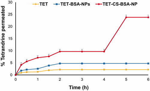 Figure 4. Ex vivo corneal permeation profile of tetrandrine from TET-BSA-NPs and CS-TET-BSA-NPs compared to TET suspension (mean ± SD, n = 3).