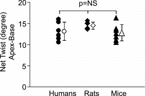 Figure 1. Net twist angles are conserved across the three species.