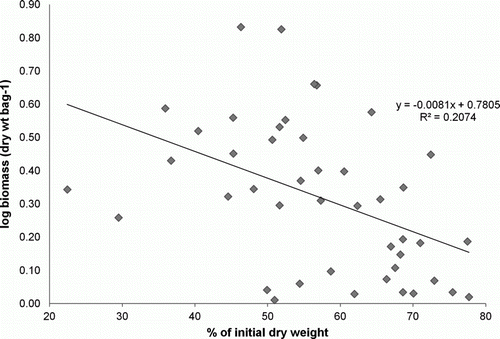 Figure 6  Relationship between the initial dry weight (%) of Durvillaea antarctica and the log macrofaunal biomass associated with samples on Victory Beach, during autumn and winter 2008.